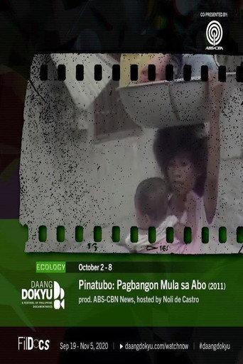Pinatubo: Rising from the Ashes (2011) poster