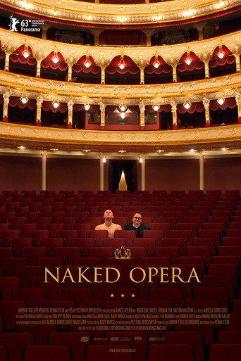 Naked Opera (2013) poster