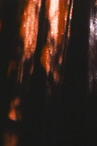 Curtain (1993) poster