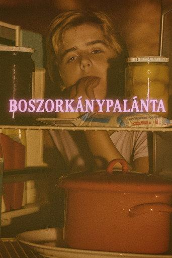 Boszorkánypalánta (1988) poster