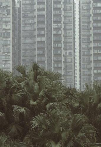 South Horizons (2015) poster