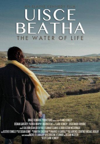 Uisce Beatha Water of Life (2017) poster
