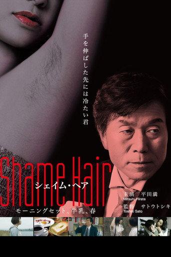 Shame Hair (2013) poster