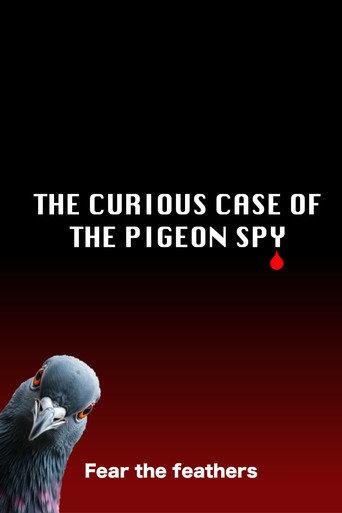The Curious Case of the Pigeon Spy () poster