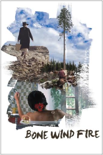 Bone Wind Fire (2011) poster