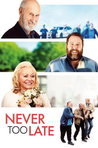 Never Too Late (2020) poster