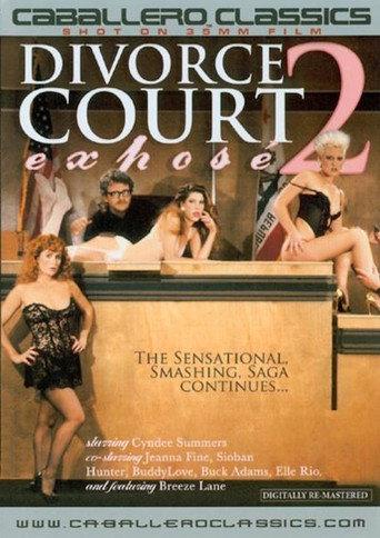 Divorce Court Expose 2 (1987) poster
