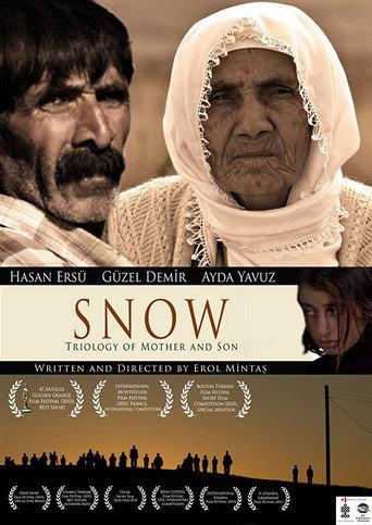 Snow (2010) poster