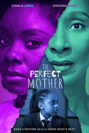 The Perfect Mother (2024) poster