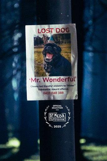 Mr. Wonderful () poster