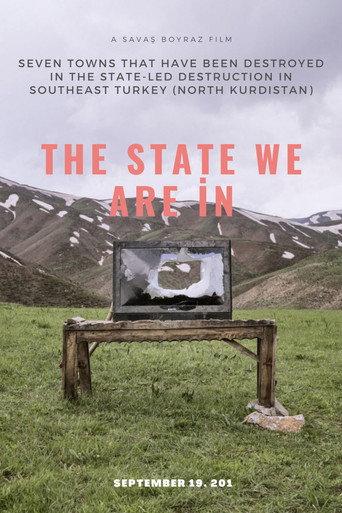 The State We Are İn (2019) poster