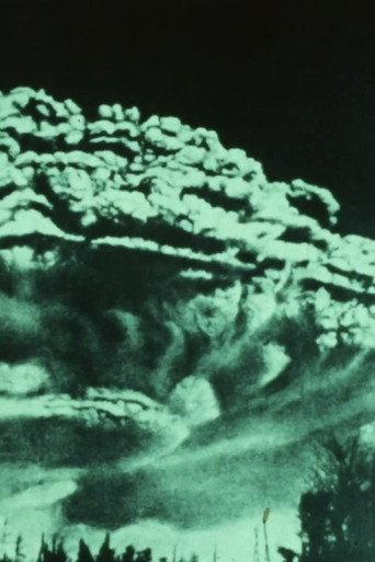 Still Movie (1978) poster