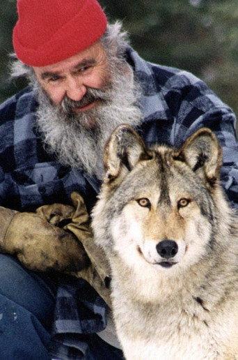 Il parle avec les loups (2001) poster