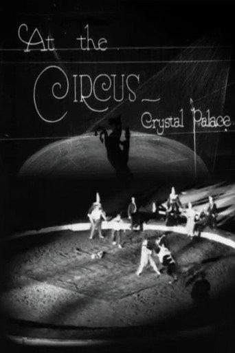 At the Circus (1923) poster