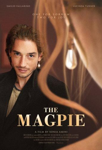 The Magpie () poster