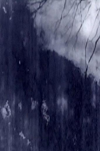 Δ -32 VANISHING 1981 (2019) poster
