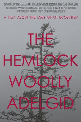The Hemlock Woolly Adelgid: A Film About the Loss of an Ecosystem (2016) poster