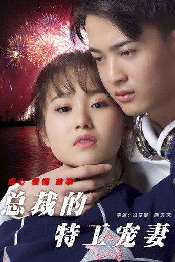总裁的特工宠妻 (2017) poster