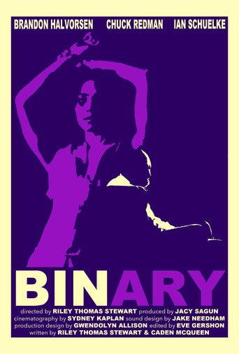 Binary () poster