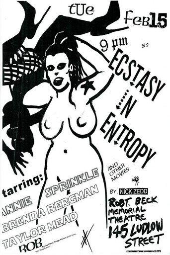 Ecstasy in Entropy (1999) poster