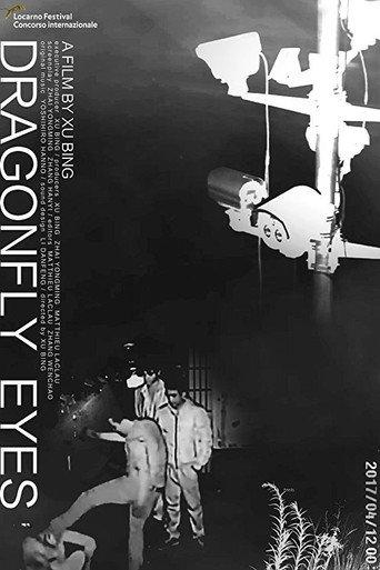 Dragonfly Eyes (2017) poster
