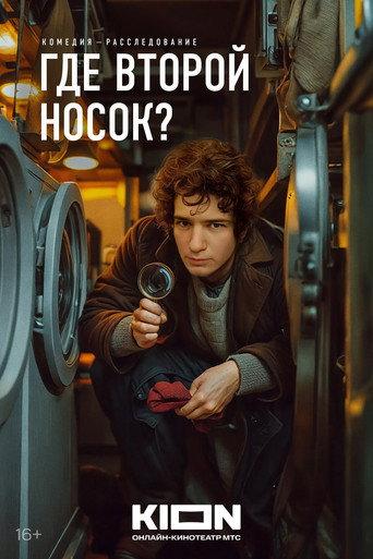 Where’s the Other Sock? (2024) poster