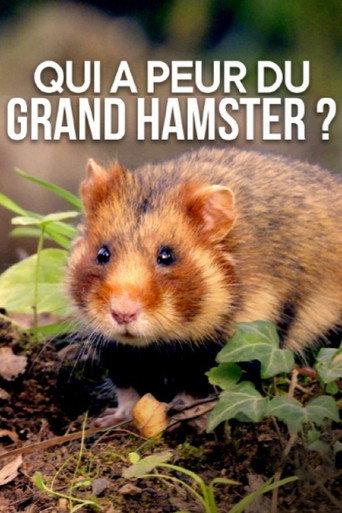 Qui a peur du grand hamster ? (2020) poster