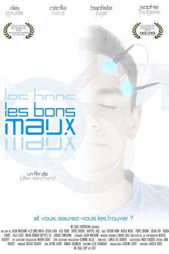 Les bons maux () poster