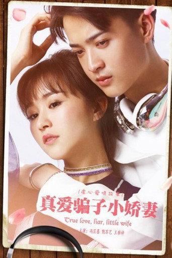 真爱骗子小娇妻 (2017) poster