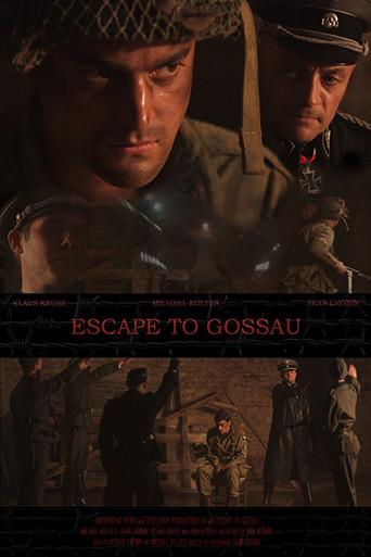 Escape to Gossau (2013) poster