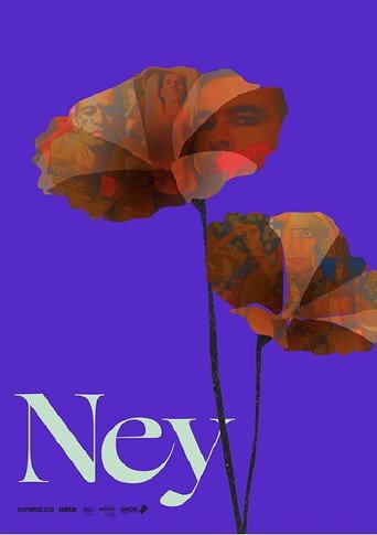 Ney - À Flor da Pele (2020) poster