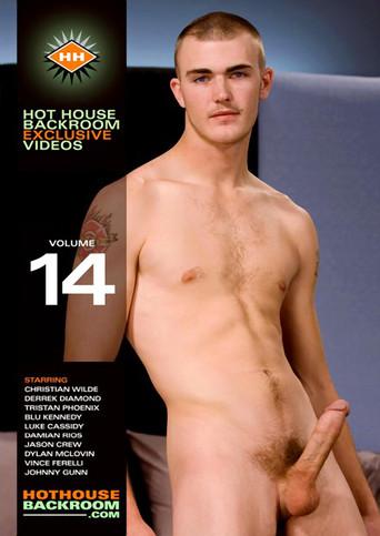 Hot House Backroom Exclusive 14 (2008) poster