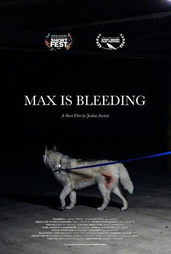 Max is Bleeding () poster
