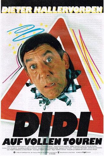 Didi Drives Me Crazy (1986) poster