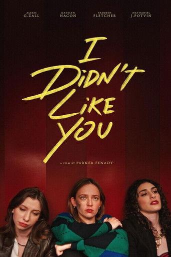 I Didn't Like You (2026) poster