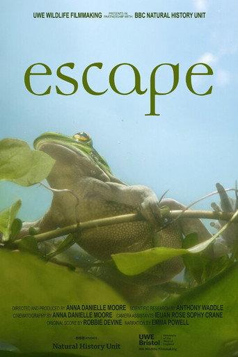 Escape (2026) poster