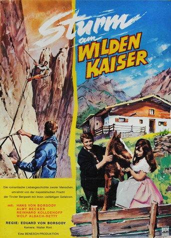 Bergwind (1964) poster