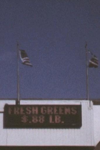 3 Flags (2010) poster