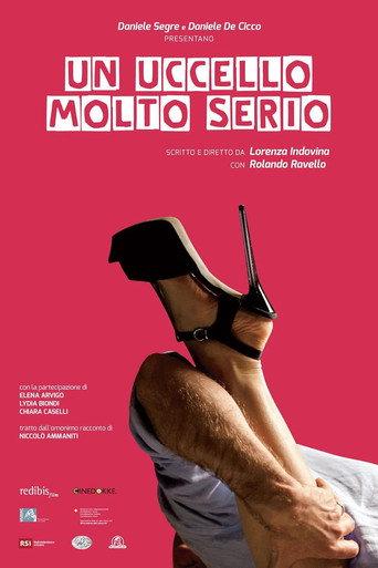 Un uccello molto serio (2014) poster