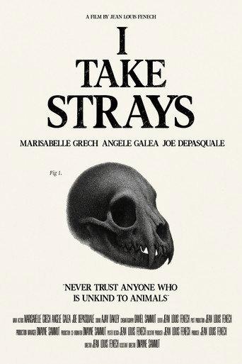 I TAKE STRAYS (2026) poster