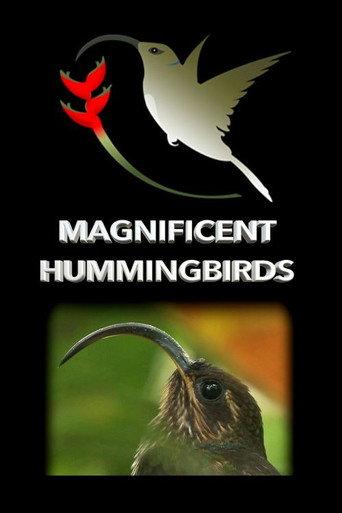 Magnificent Hummingbirds (2021) poster