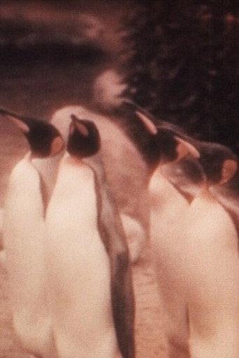 The Joy of Water at the Zoo (1931) poster