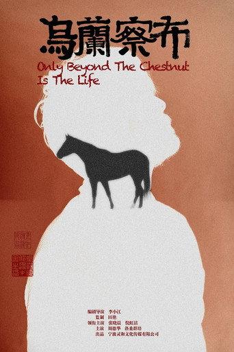 乌兰察布 (2022) poster