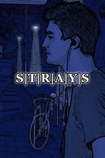 S|T|R|A|Y|S (2017) poster