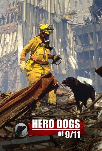 Hero Dogs Of 9/11 (2011) poster
