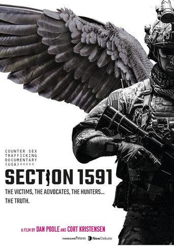 Section 1591 () poster
