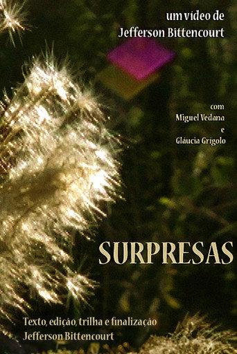 Surpresas (2009) poster