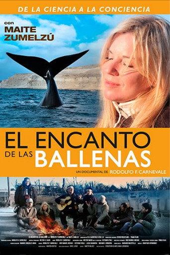 The Charm of Whales (2021) poster