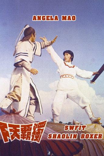 Swift Shaolin Boxer (1978) poster