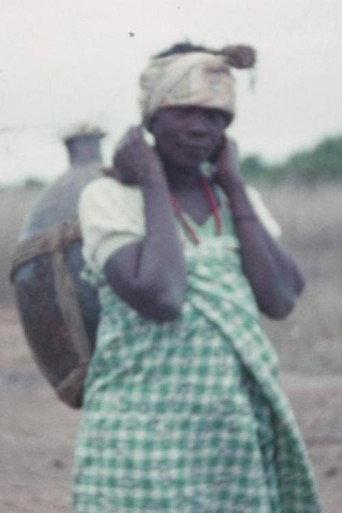 Miscellaneous Scenes. Angola () poster